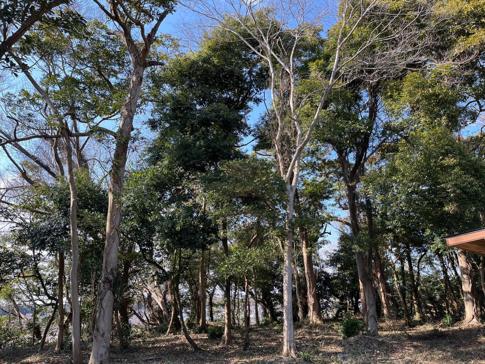 Holiday home 歴史ある鹿島神宮の森の中にひっそりと佇むログハウス Kashima (Ibaraki)